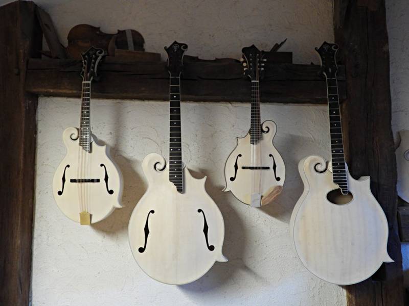 Mandoline, mandola, mandoline gaucher, mandoline d'octave.