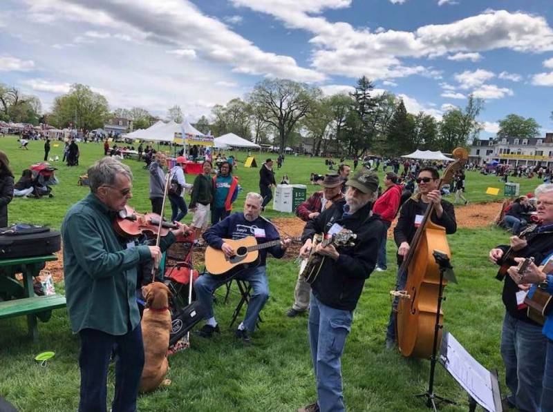 Bluegrass jam en extérieur au New Jersey Folk Festival.